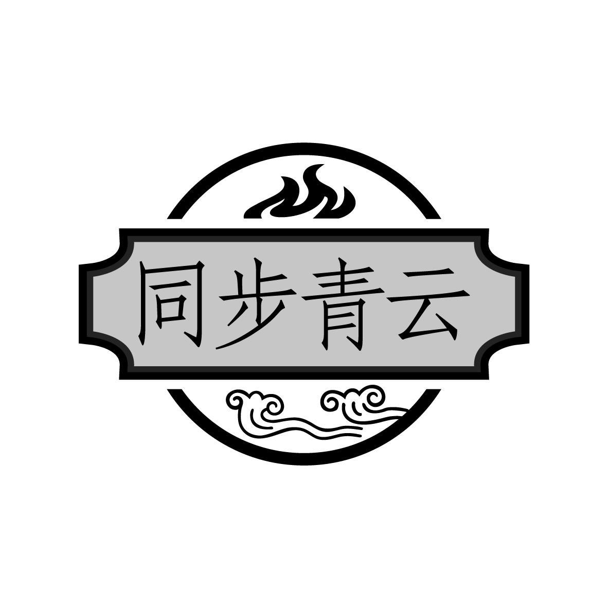 商标文字同步青云商标注册号 58187215,商标申请人长沙大地水秀科技