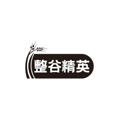 转让商标-整谷精英