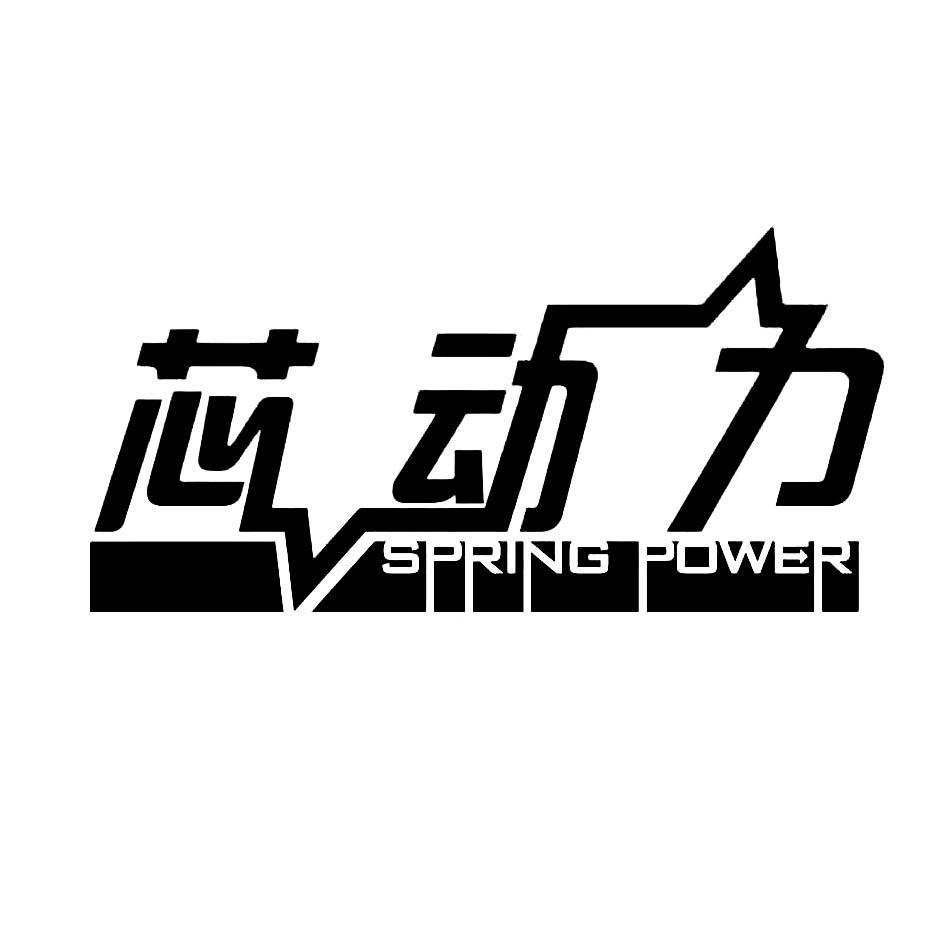 power商标注册号 30852900,商标申请人随州市长和芯动力环保科技有限