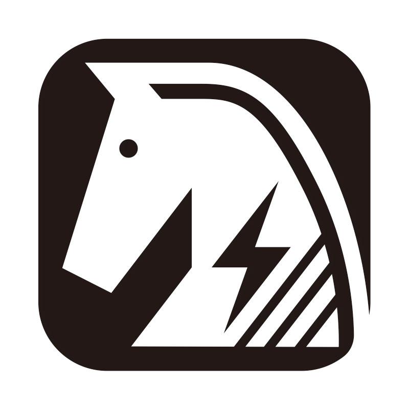 商标文字图形商标注册号 45005690,商标申请人西藏闪马电子商务有限