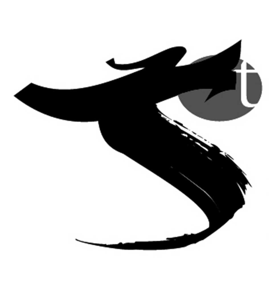 商标文字t商标注册号 36629272,商标申请人上图电气有限公司的商标