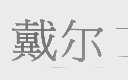 戴尔商标标样