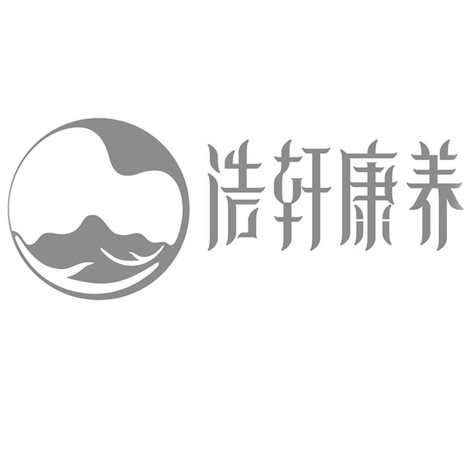 商标文字浩轩康养商标注册号 31299020,商标申请人四川省浩轩健康管理