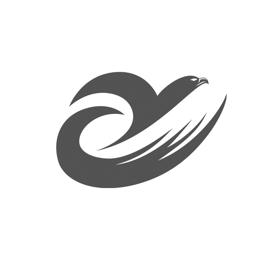 商标文字图形商标注册号 41538547,商标申请人罗定市雏鹰文化艺术发展