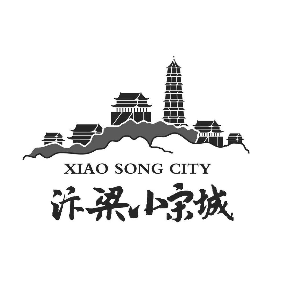 商标文字汴梁小宋城 xiao song city商标注册号 37396016,商标申请人