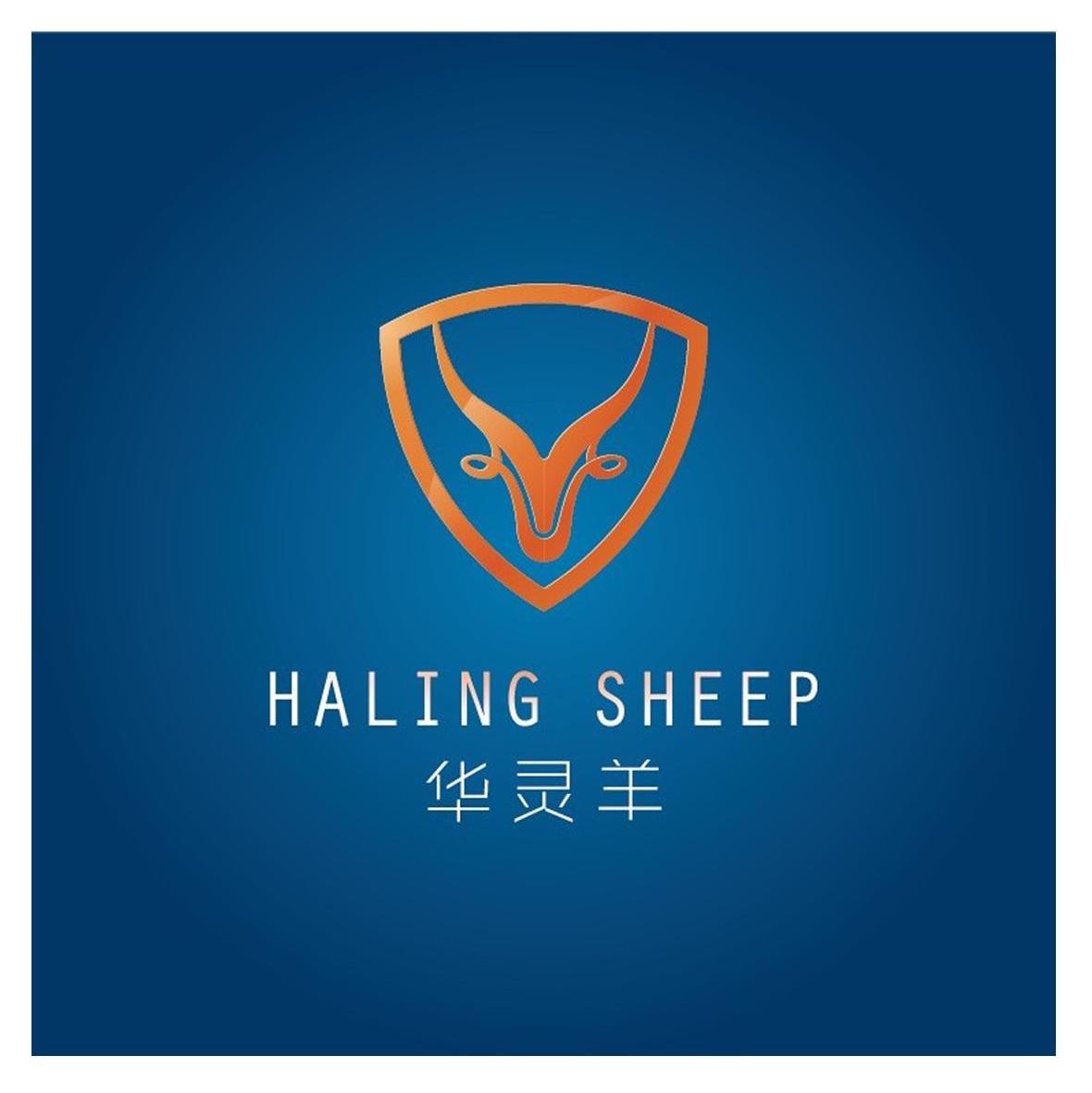 商标文字华灵羊 haling sheep商标注册号 12955280,商标申请人北京