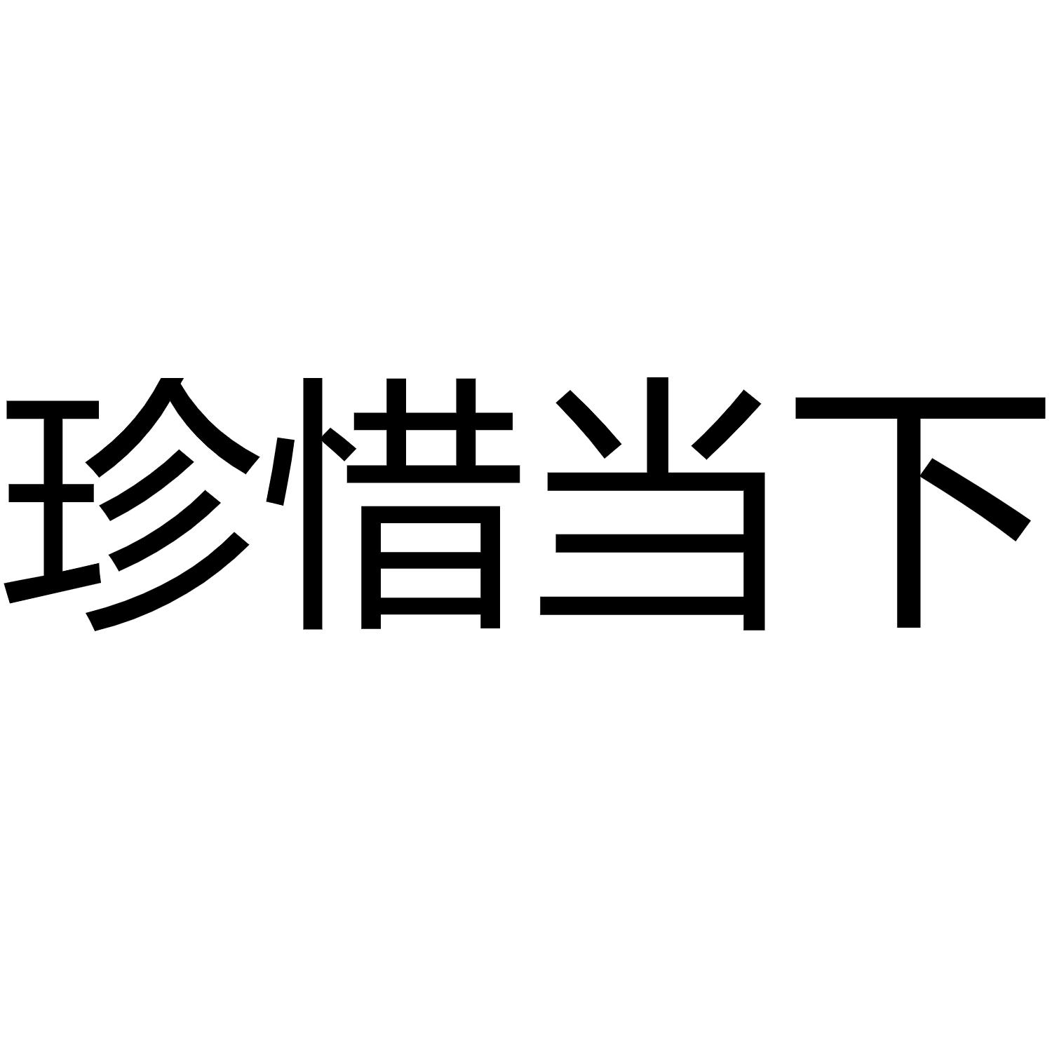 商标文字珍惜当下商标注册号 56298173,商标申请人广州市牧游郎服饰