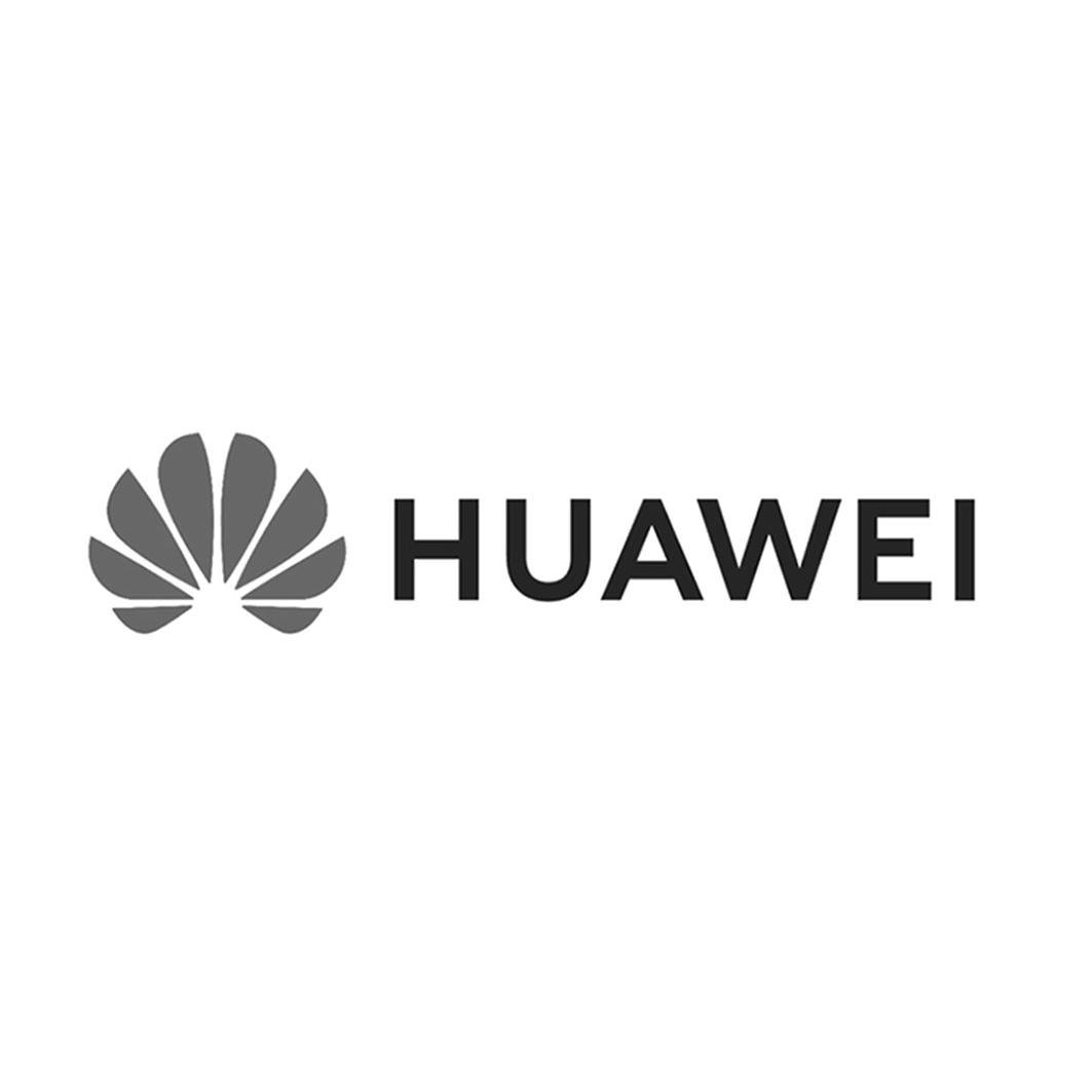 HUAWEI商标标样