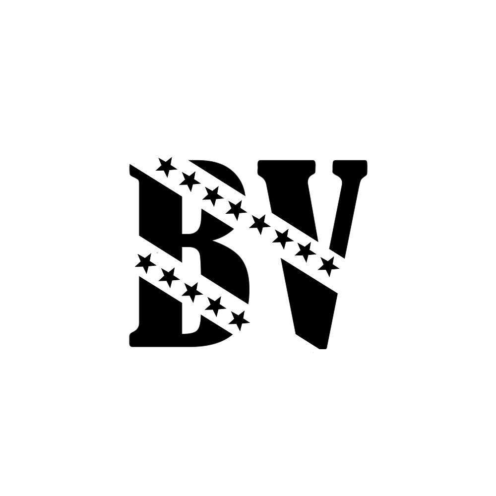 商标文字bv商标注册号 49713408,商标申请人晋江市深沪衍潮服装店的