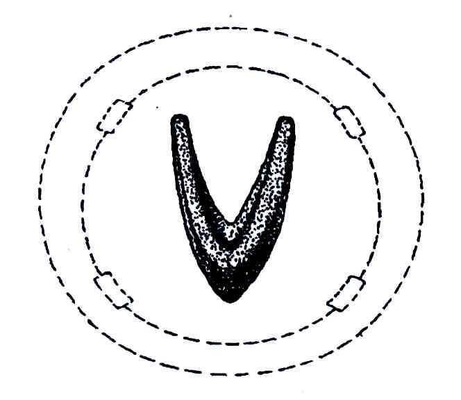 msa technology,llc申请人地址(英文):1000 cranberry woods drive