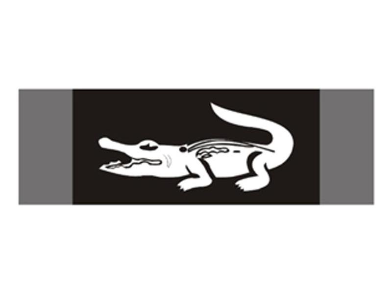 商标文字图形商标注册号 8078957,商标申请人法国鳄鱼