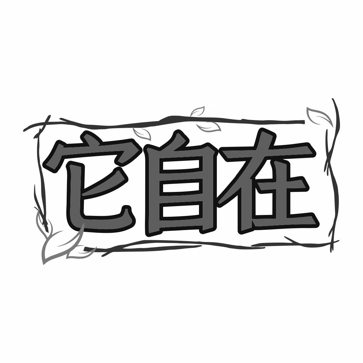 转让商标-它自在