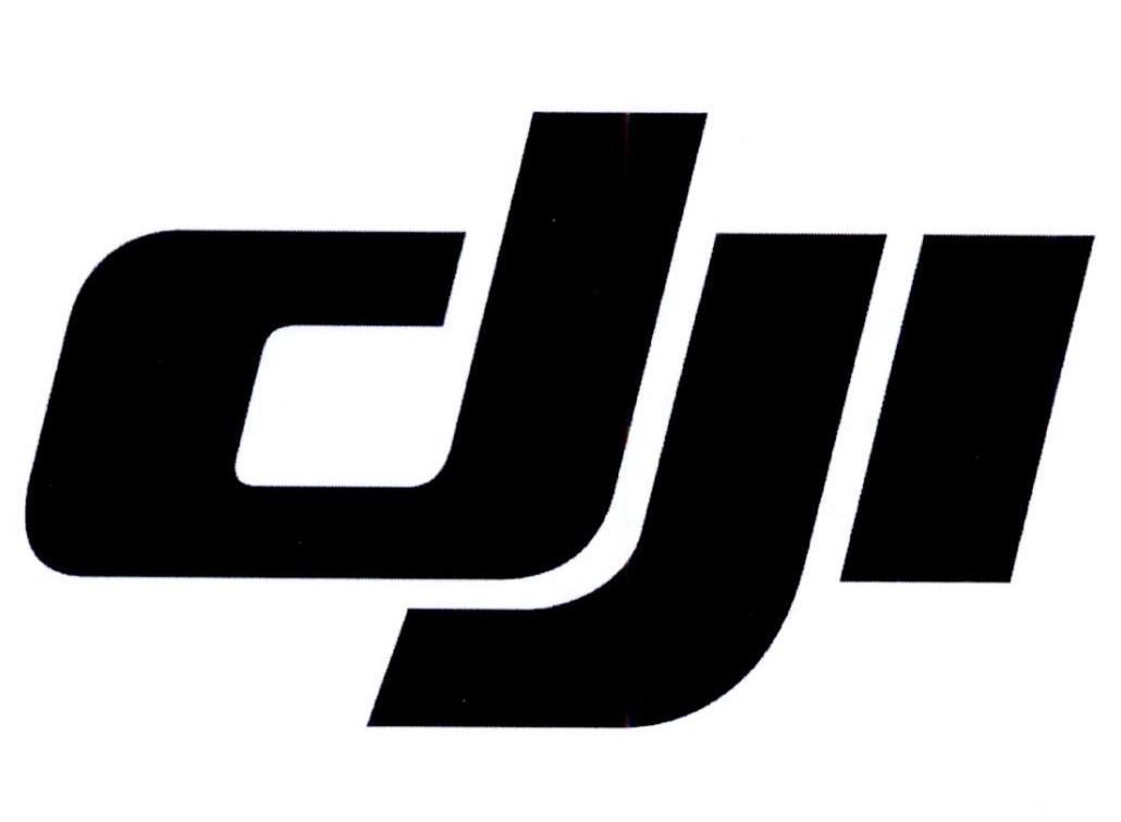 DJI商标标样