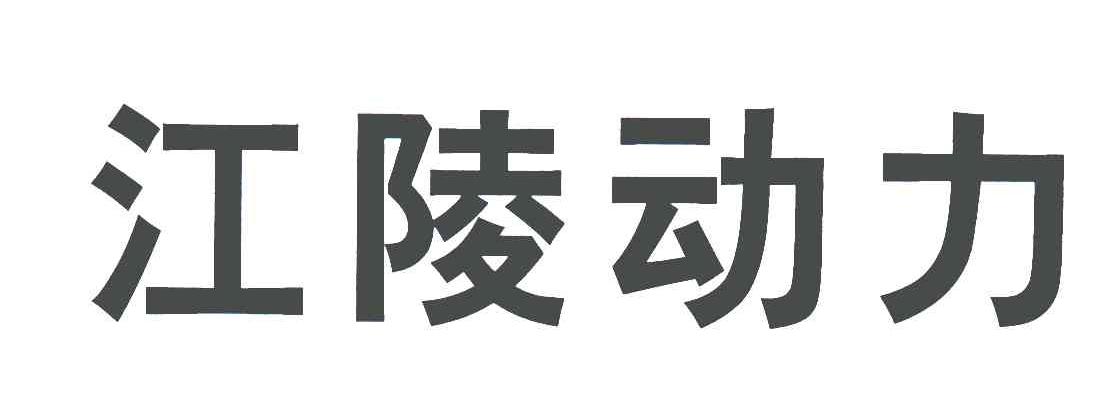 商标文字江陵动力商标注册号 5068658,商标申请人沃森(郑州)车用机器