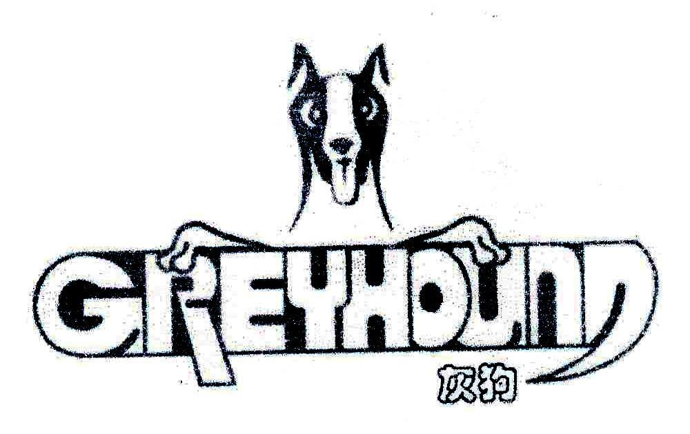 转让商标-灰狗  GREYHOUND