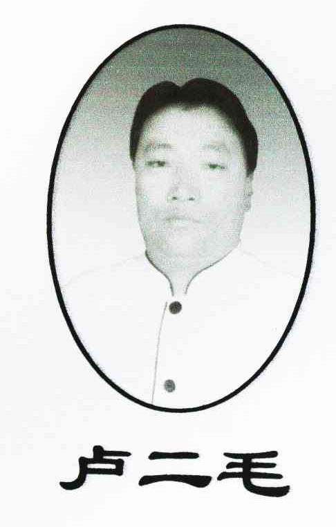 商标文字卢二毛商标注册号 8378908,商标申请人卢小强的商标详情 - 标