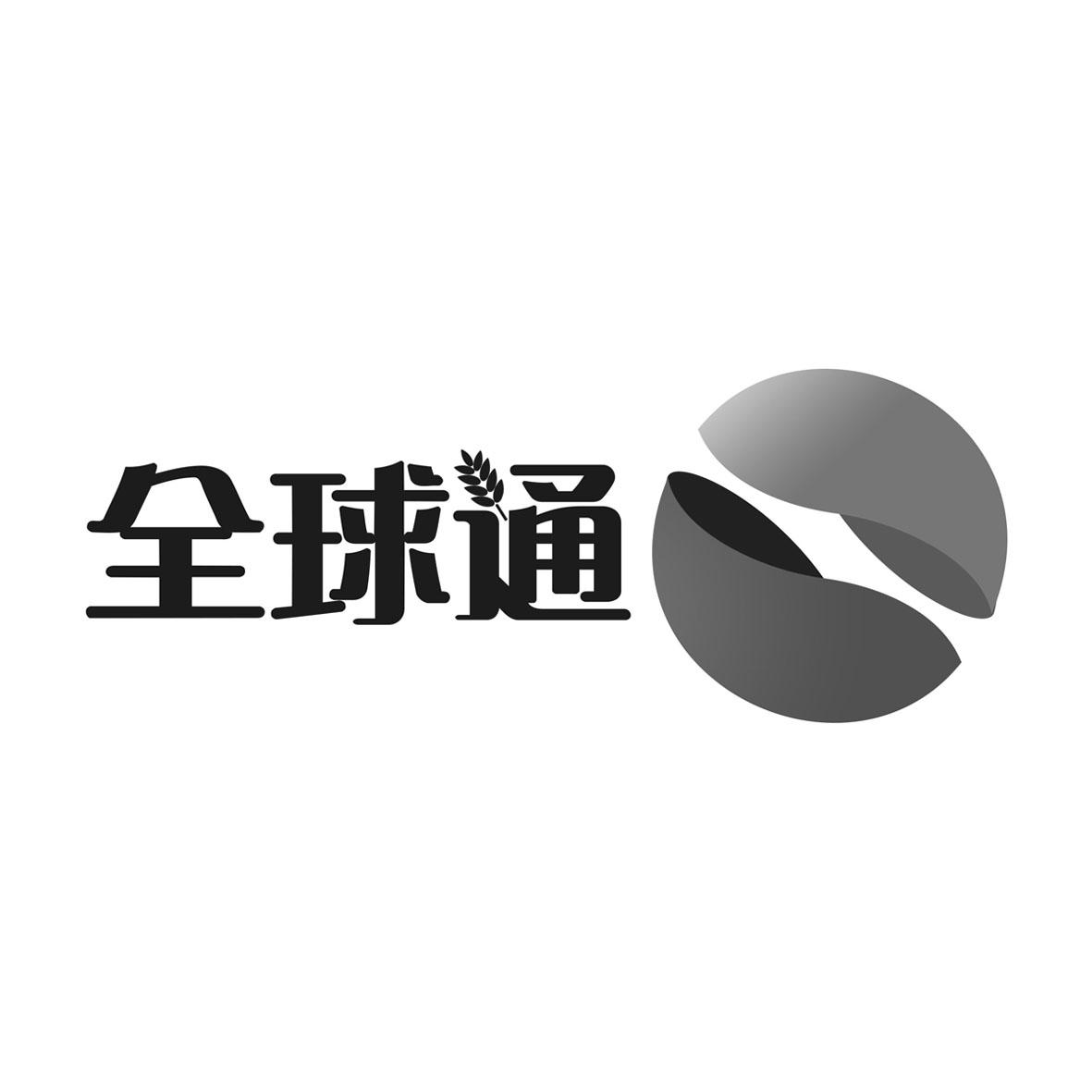 商标文字全球通商标注册号 20097465,商标申请人陈建明的商标详情