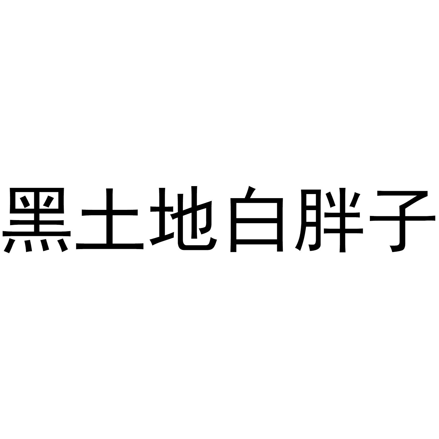 商标文字黑土地白胖子商标注册号 52578384,商标申请人敬志山的商标