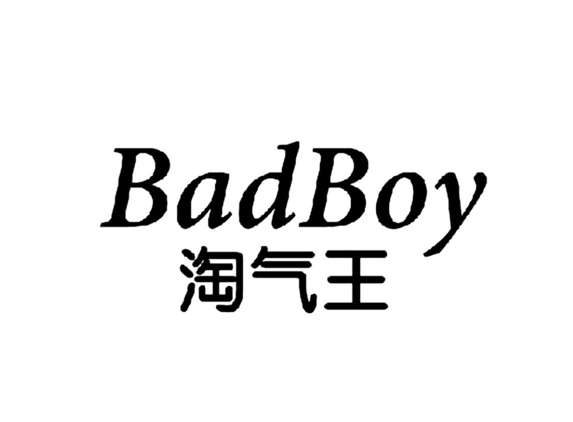 商标文字淘气王 badboy商标注册号 31649698,商标申请