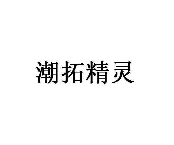 转让商标-潮拓精灵