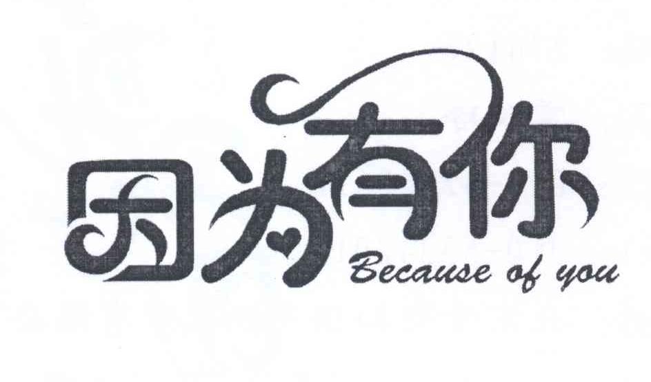 商标文字因为有你 because of you商标注册号 12735772,商标申请人樊