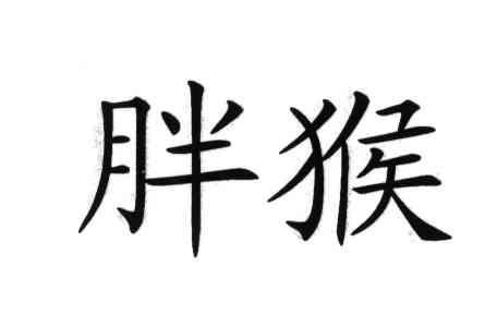 商标文字胖猴商标注册号 3876166,商标申请人凌海市大黑窖酒厂的商标