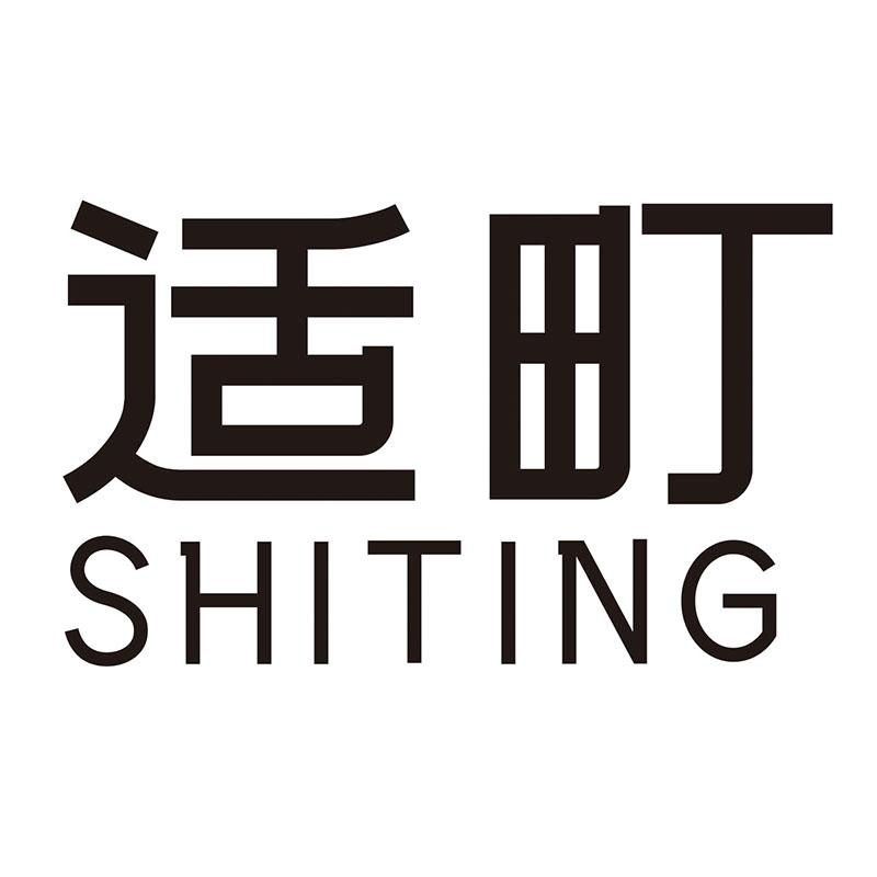 转让商标-适町