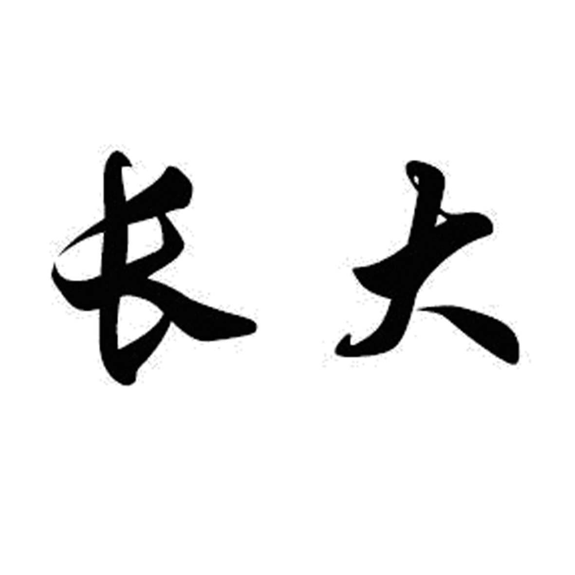 商标文字长大商标注册号 22430279,商标申请人潮州市潮安区彩塘镇大安