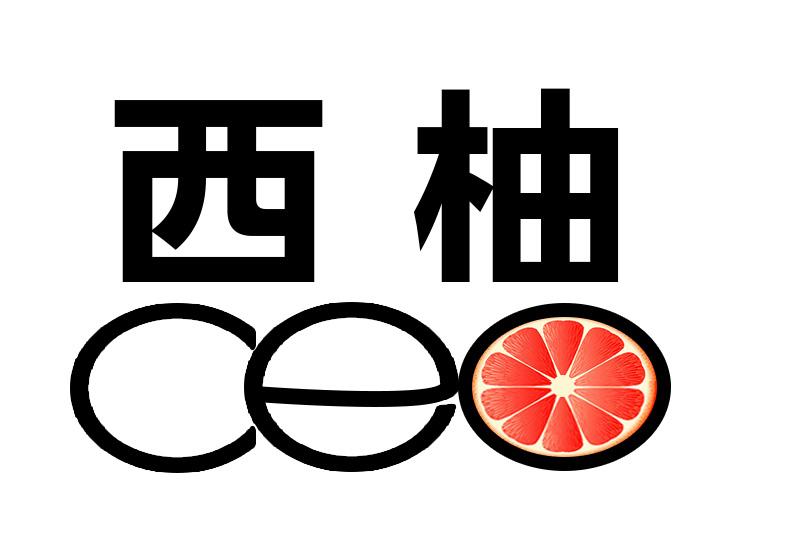 西柚logo素材图片