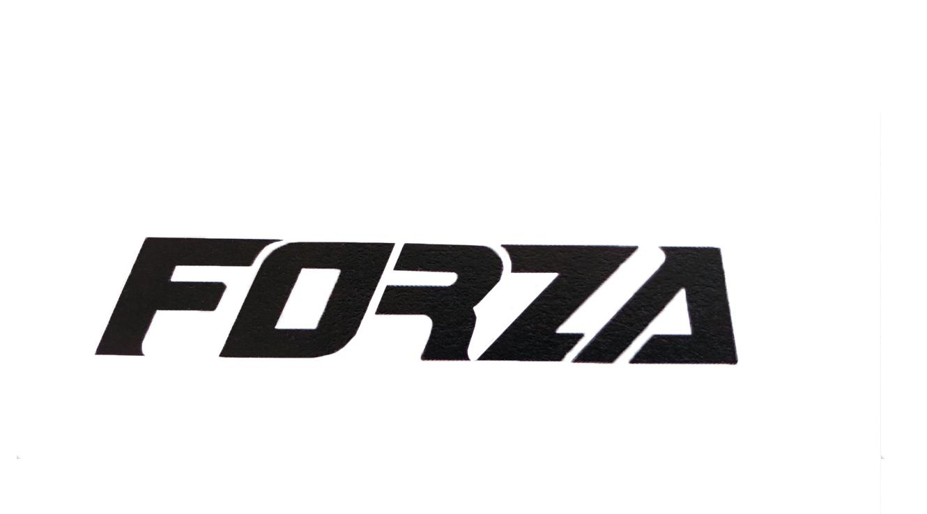 商标文字forza商标注册号 60376701,商标申请人台州蓝瑟网络科技有限