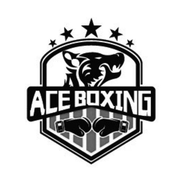 商標文字ace boxing商標註冊號 30389051,商標申請人青島戰狼健身