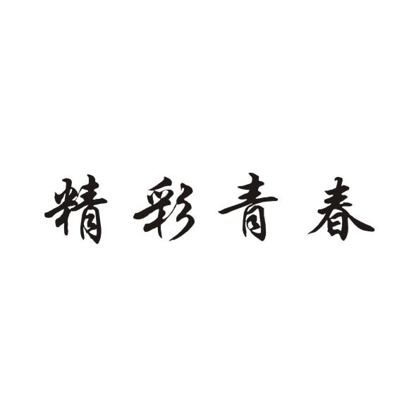 转让商标-精彩青春