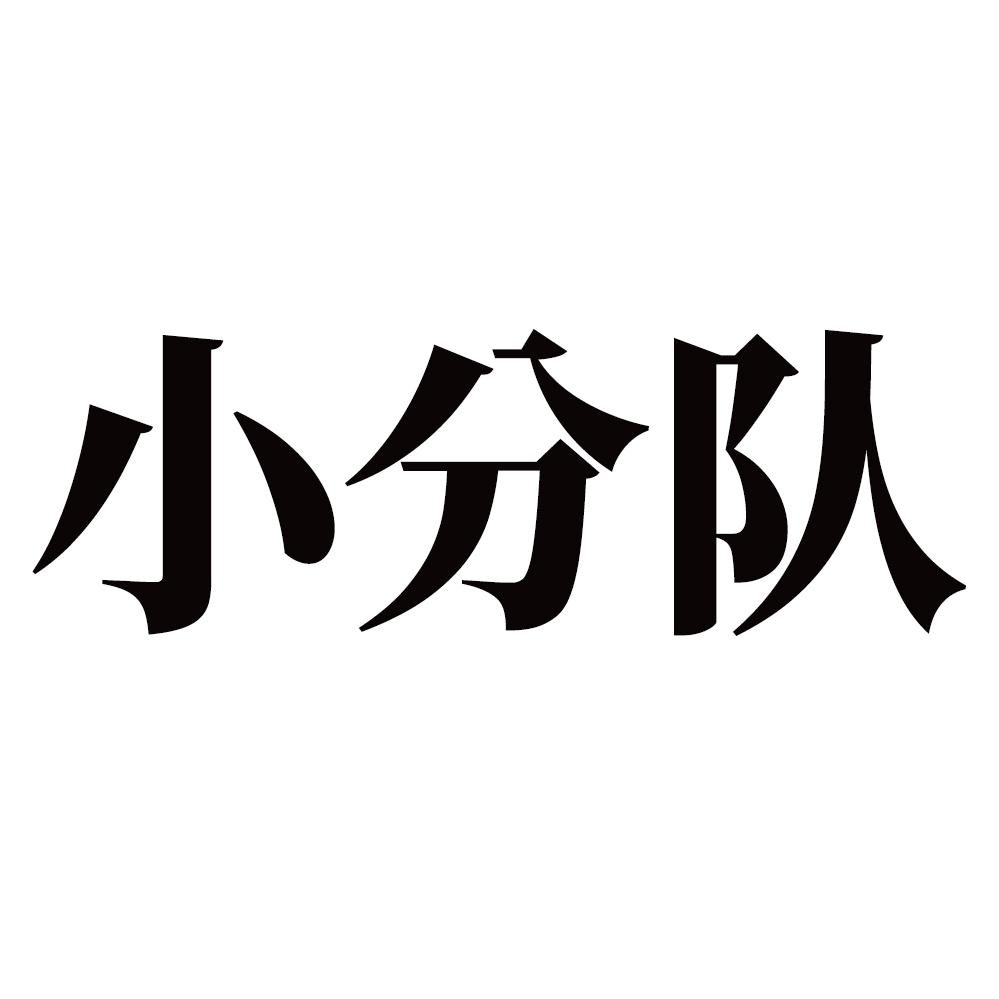 商標文字小分隊商標註冊號 56007343,商標申請人永康市上善供應鏈管理