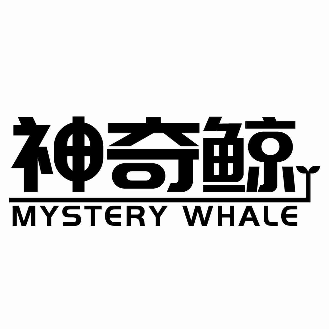 转让商标-神奇鲸 MYSTERY WHALE