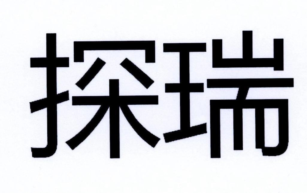 商标文字探瑞商标注册号 49110302,商标申请人大众汽车股份公司的商标