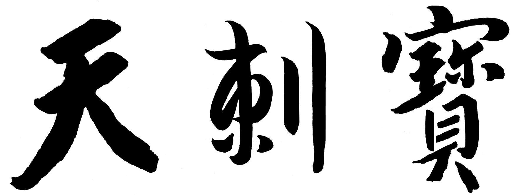 商标文字天刺宝商标注册号 48104729,商标申请人上海燊健医疗科技有限