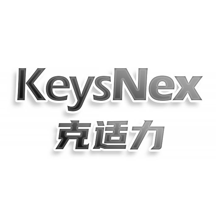 转让商标-KEYSNEX 克适力