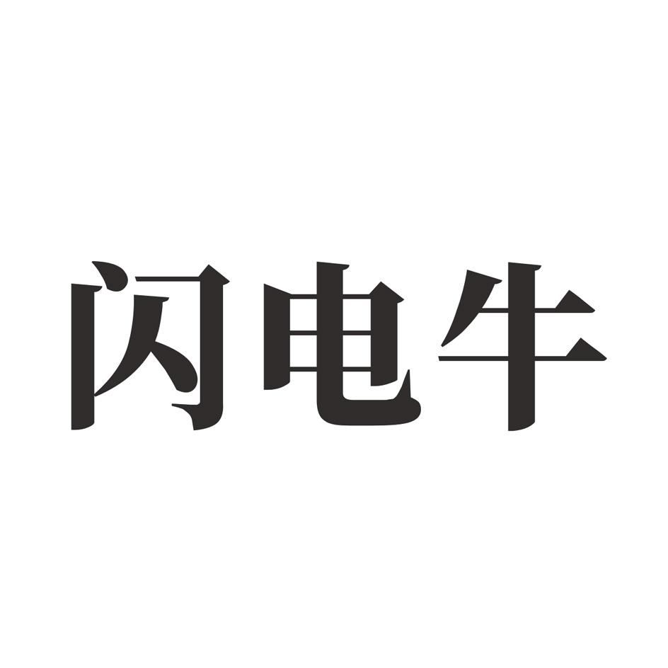 商标文字闪电牛商标注册号 53241835,商标申请人天台县炫派汽车用品厂