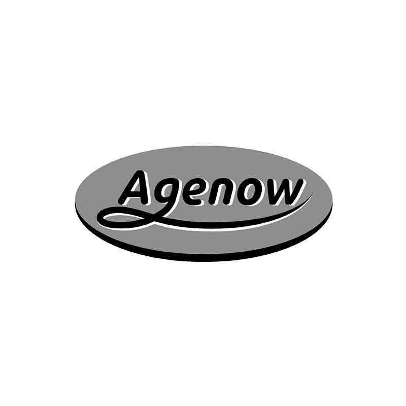 转让商标-AGENOW
