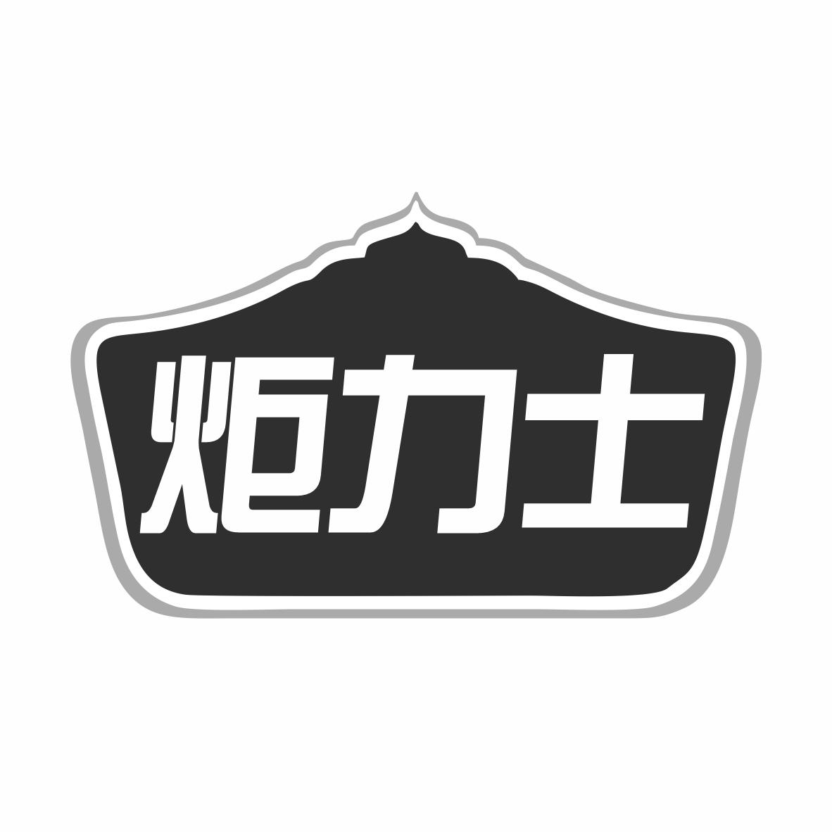 转让商标-炬力士