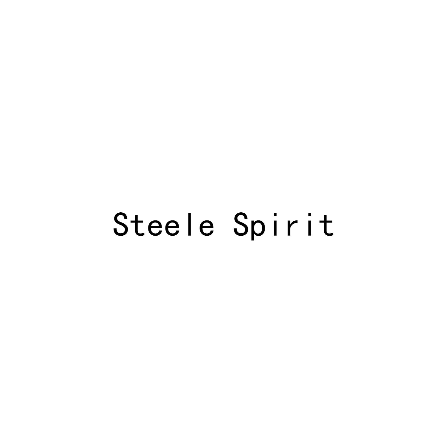 转让商标-STEELE SPIRIT