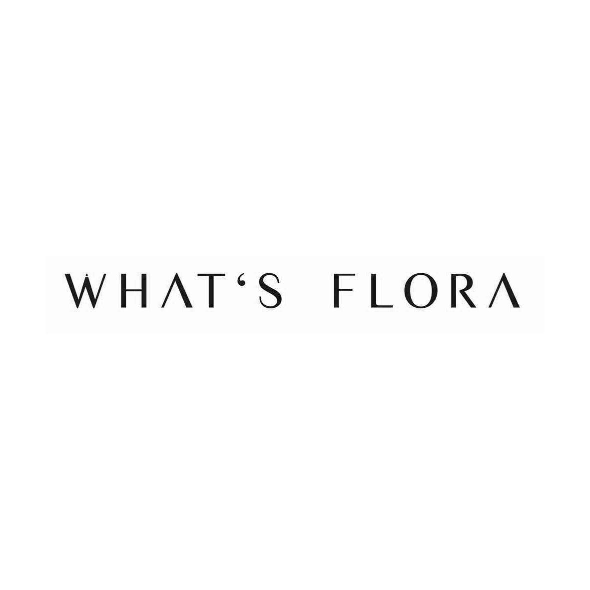 flora是什么意思中文(floras是什么意思)