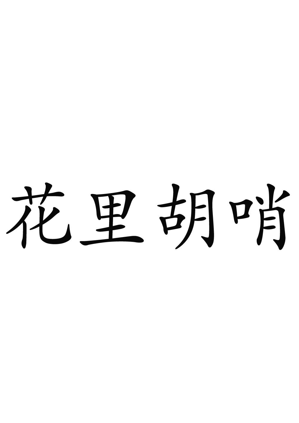 商标文字花里胡哨商标注册号 43330731,商标申请人徐州锦文家具有限