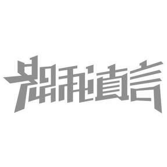 商标文字恕我直言商标注册号 33291417,商标申请人何无用(北京)文化