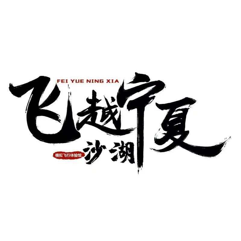 商标文字飞跃宁夏 沙湖 模拟飞行体验馆商标注册号 57144395,商标申请