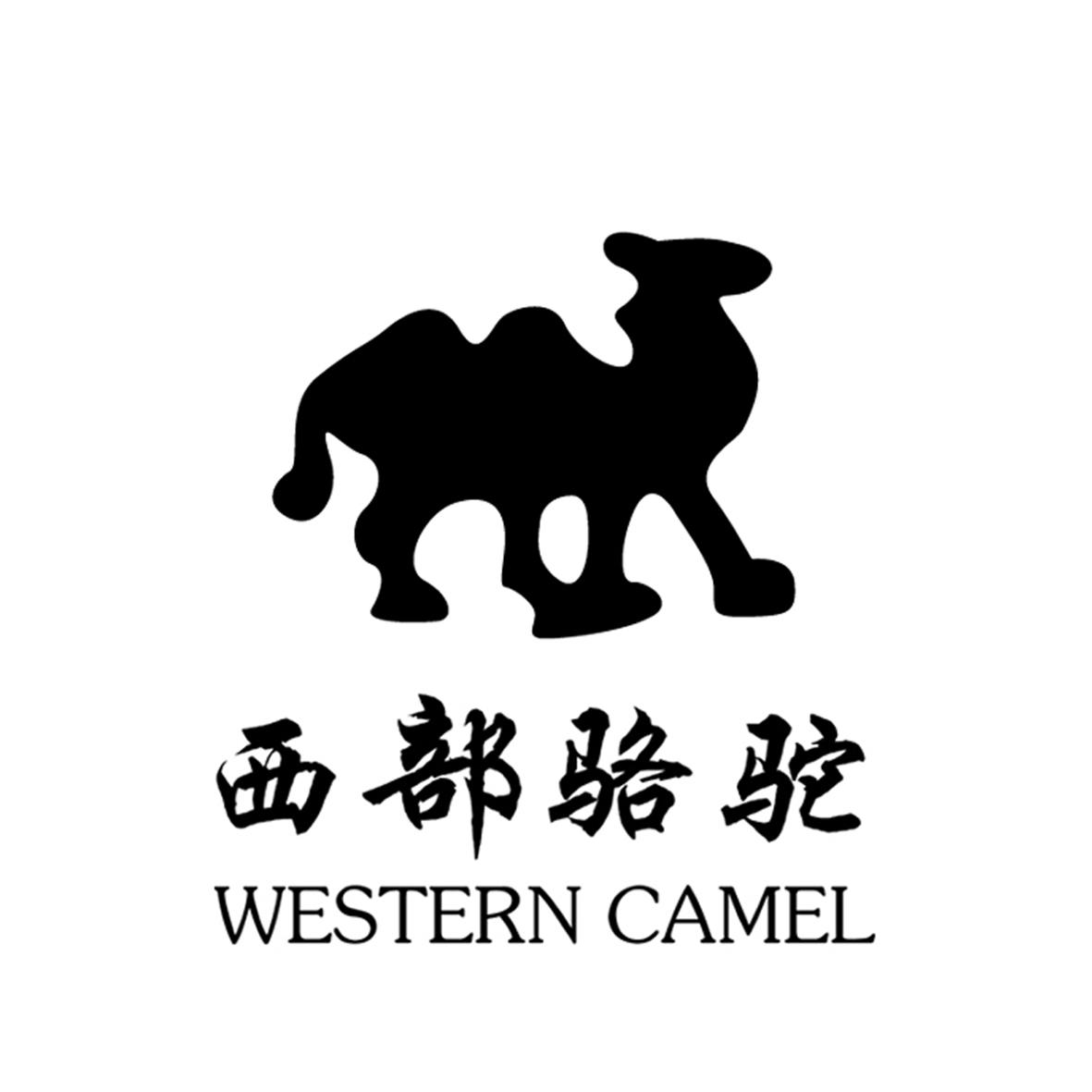 商标文字西部骆驼 western camel商标注册号 17267083,商标申请人晋江