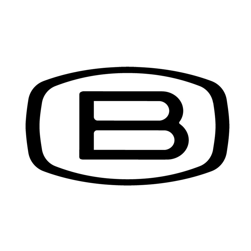 商标文字图形商标注册号 49751452,商标申请人深圳市宝