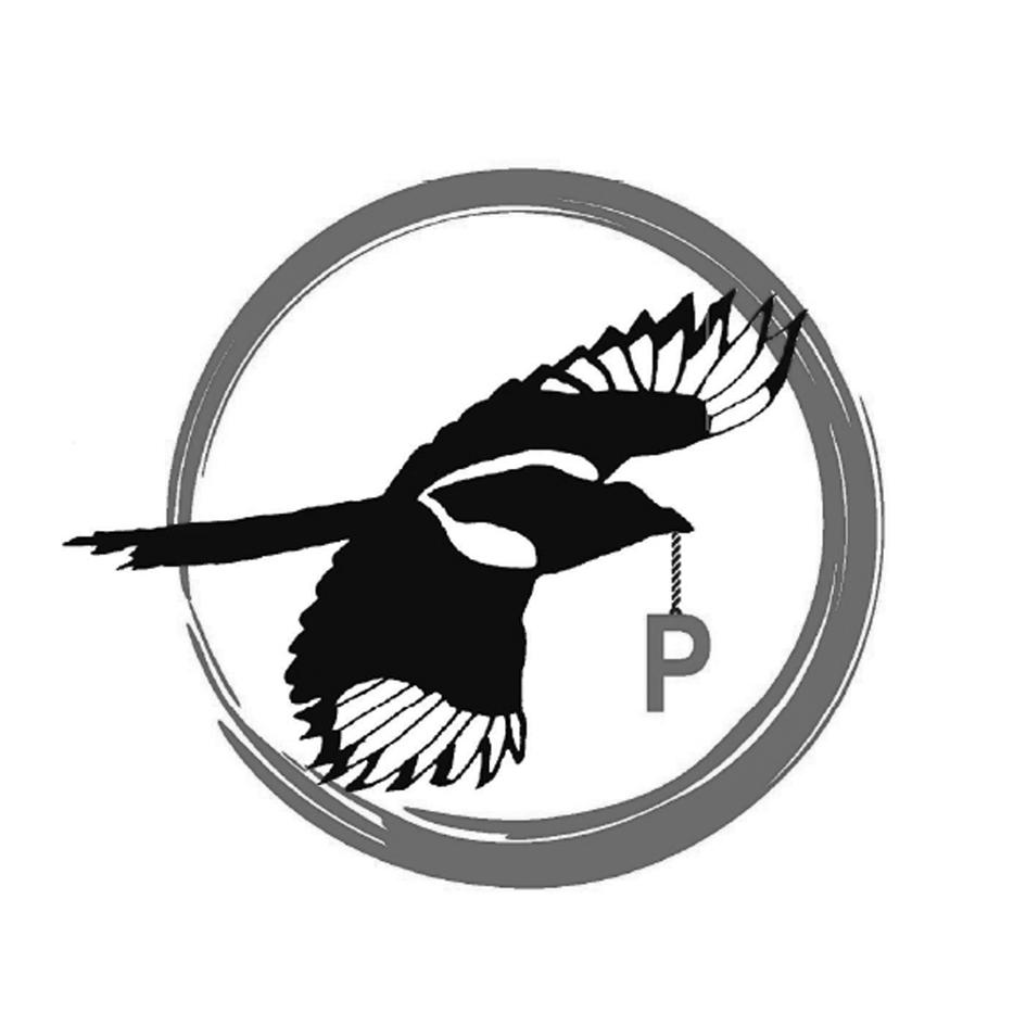 商标文字p商标注册号 36775827,商标申请人喜鹊(泉州)宠物食品有限