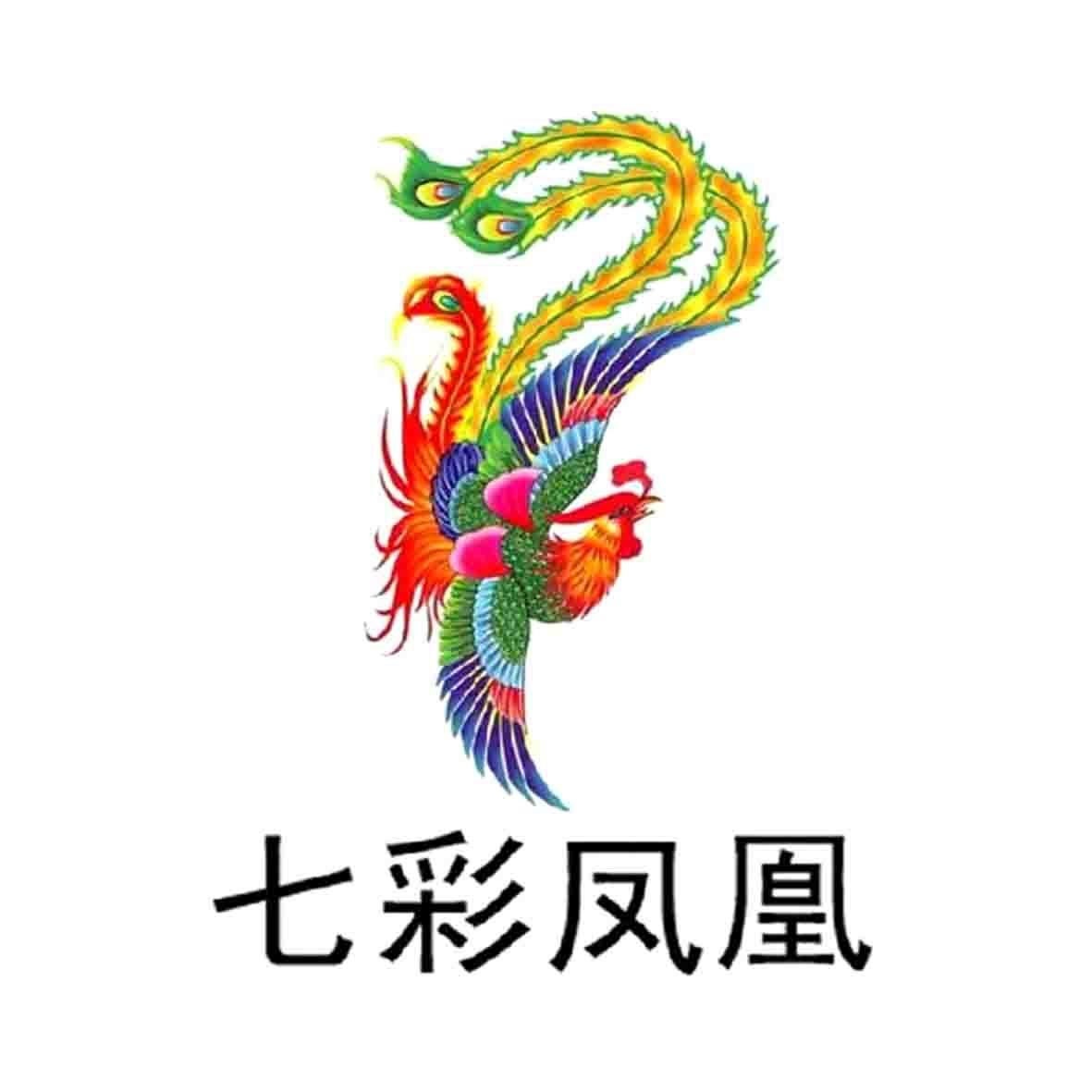 商标文字七彩凤凰商标注册号 59903927,商标申请人邢台市迈卡威儿童