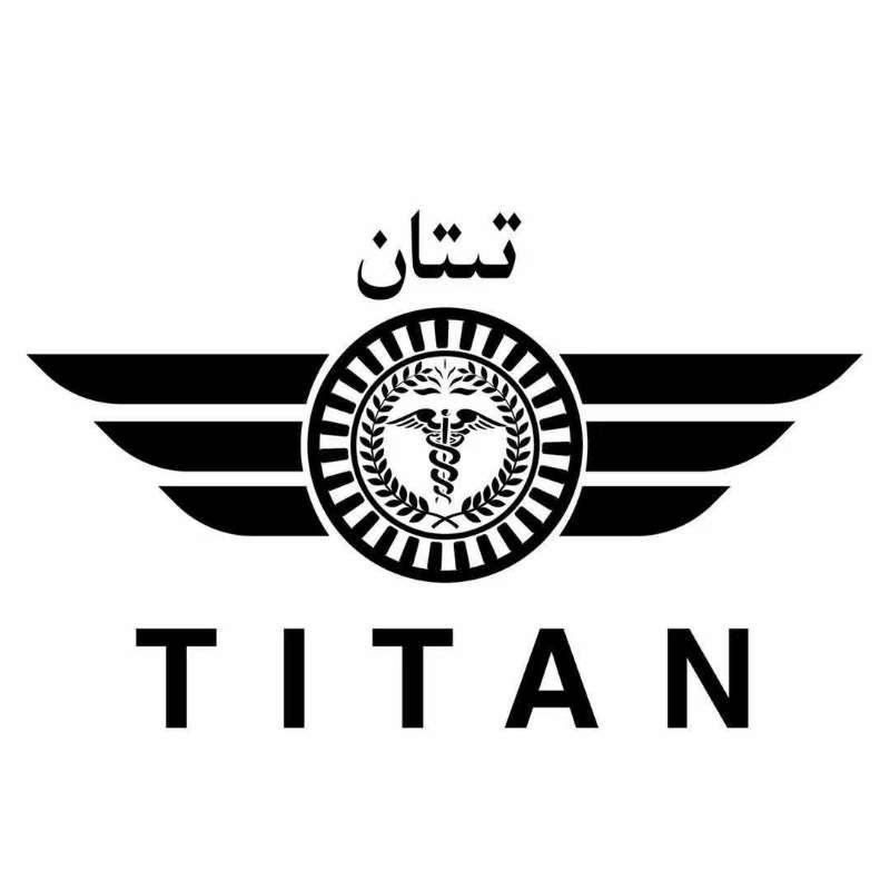 商标文字titan商标注册号 43574919,商标申请人新疆替